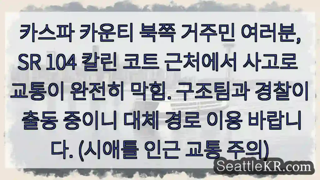 사고! 칼린 코트 우회 필수