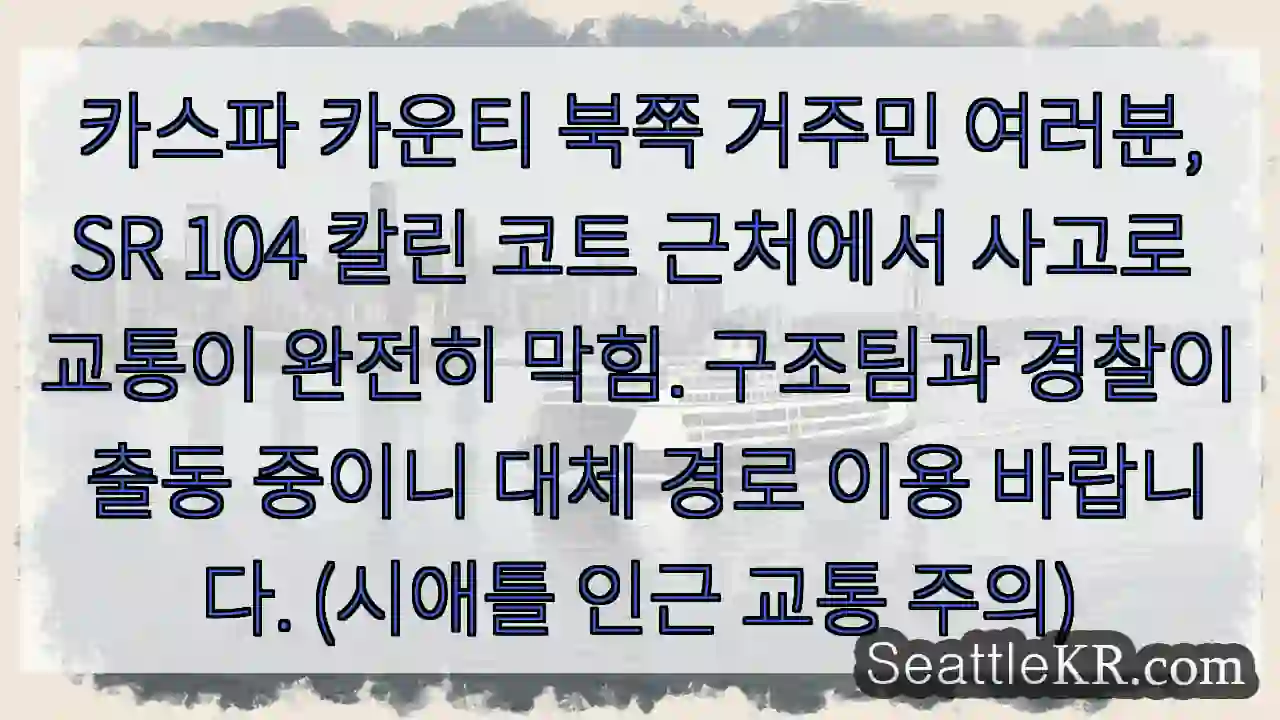 사고! 칼린 코트 우회 필수