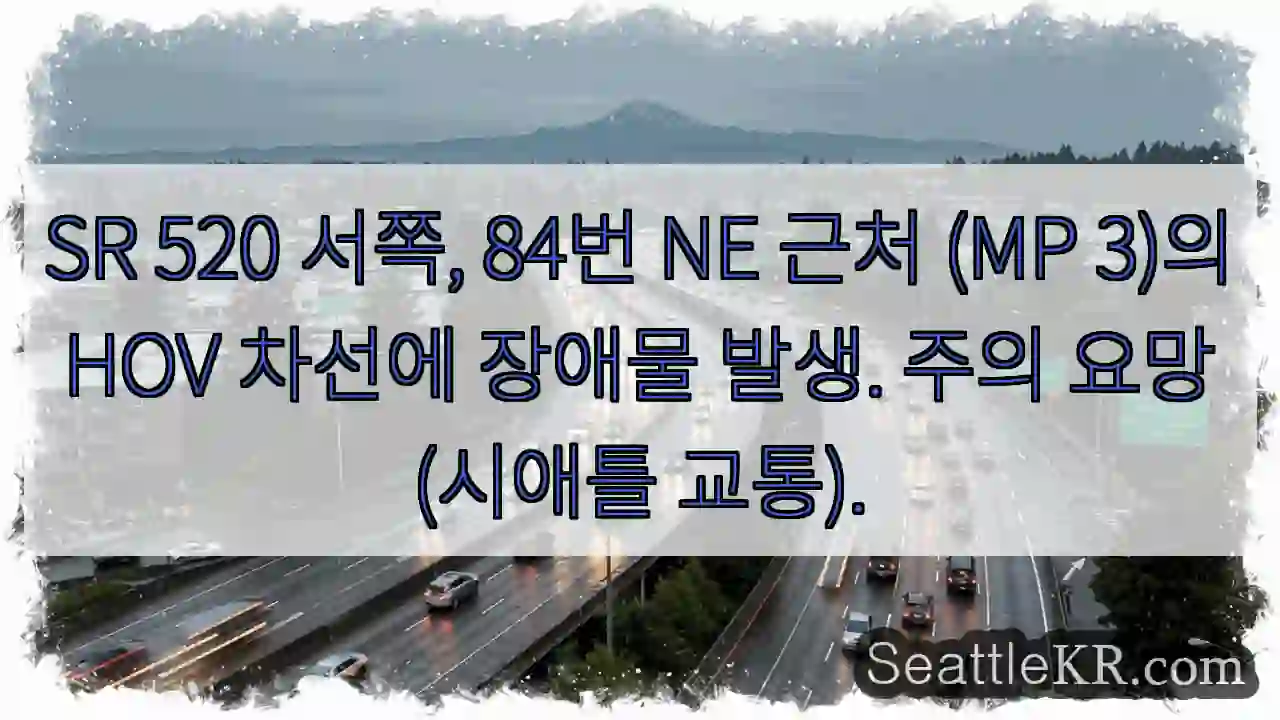 주의! HOV 차선 장애물