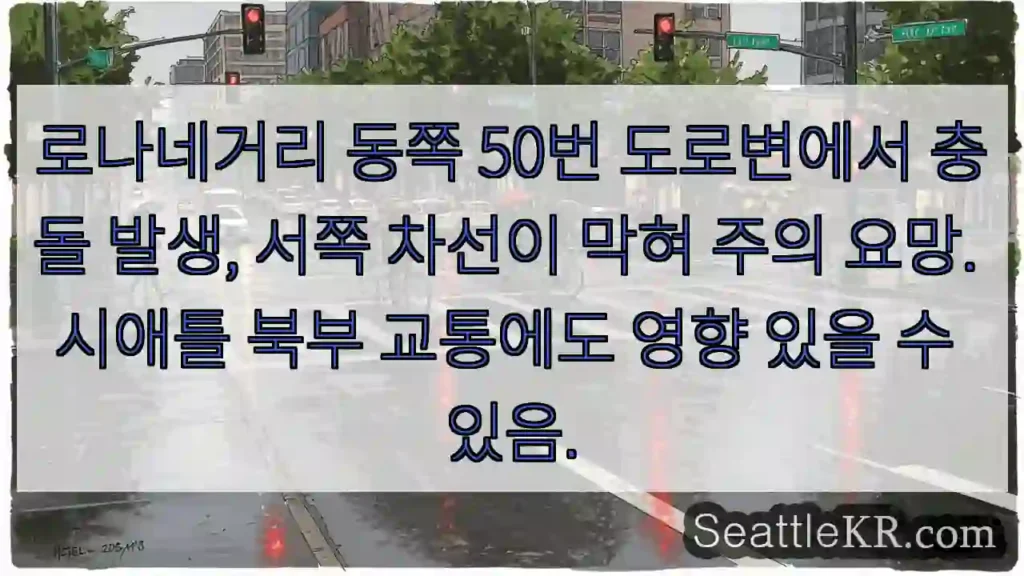 로나네거리 충돌! 차선 막힘 주의