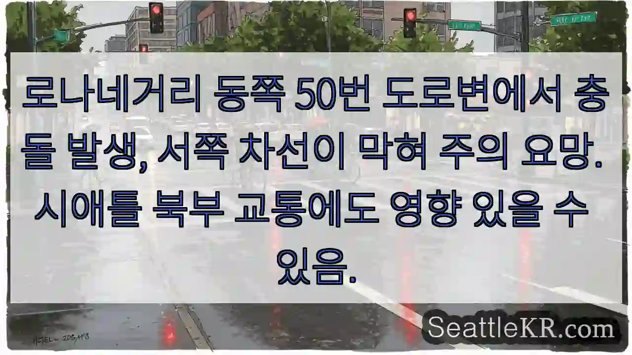 로나네거리 충돌! 차선 막힘 주의