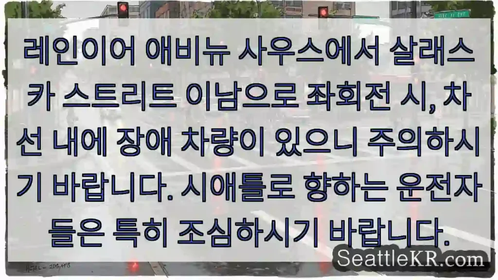 주의: 차선 내 장애 차량