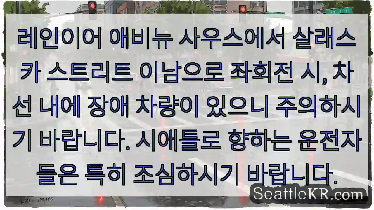 주의: 차선 내 장애 차량