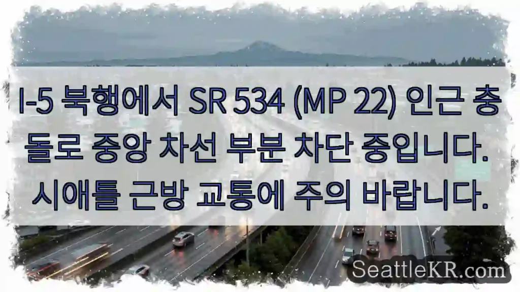 충돌! 중앙 차선 차단 중