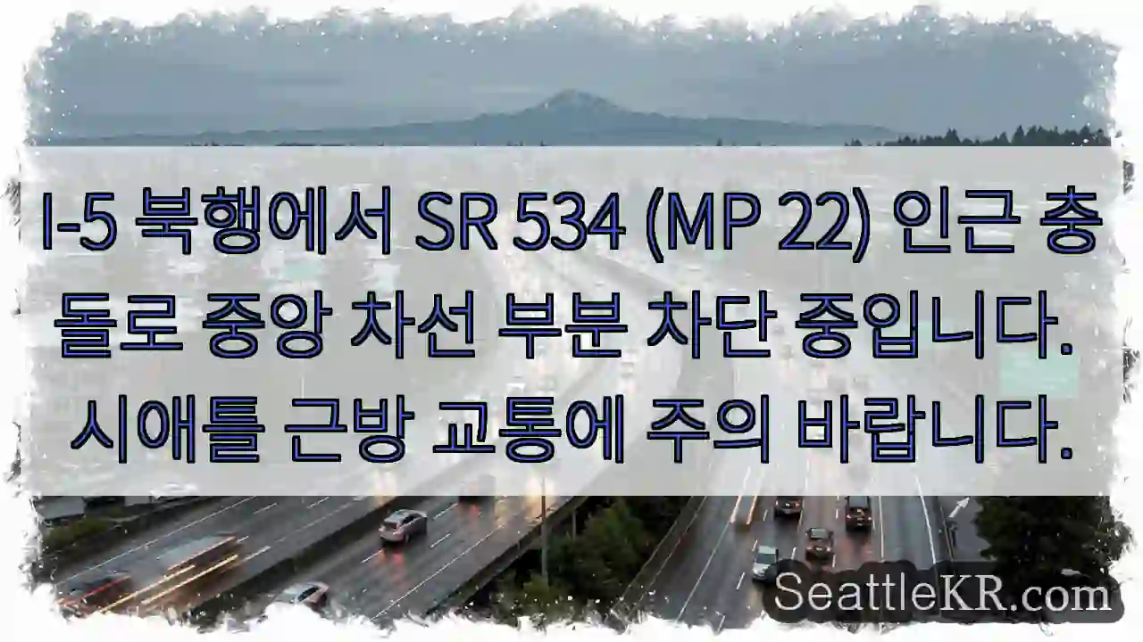 충돌! 중앙 차선 차단 중