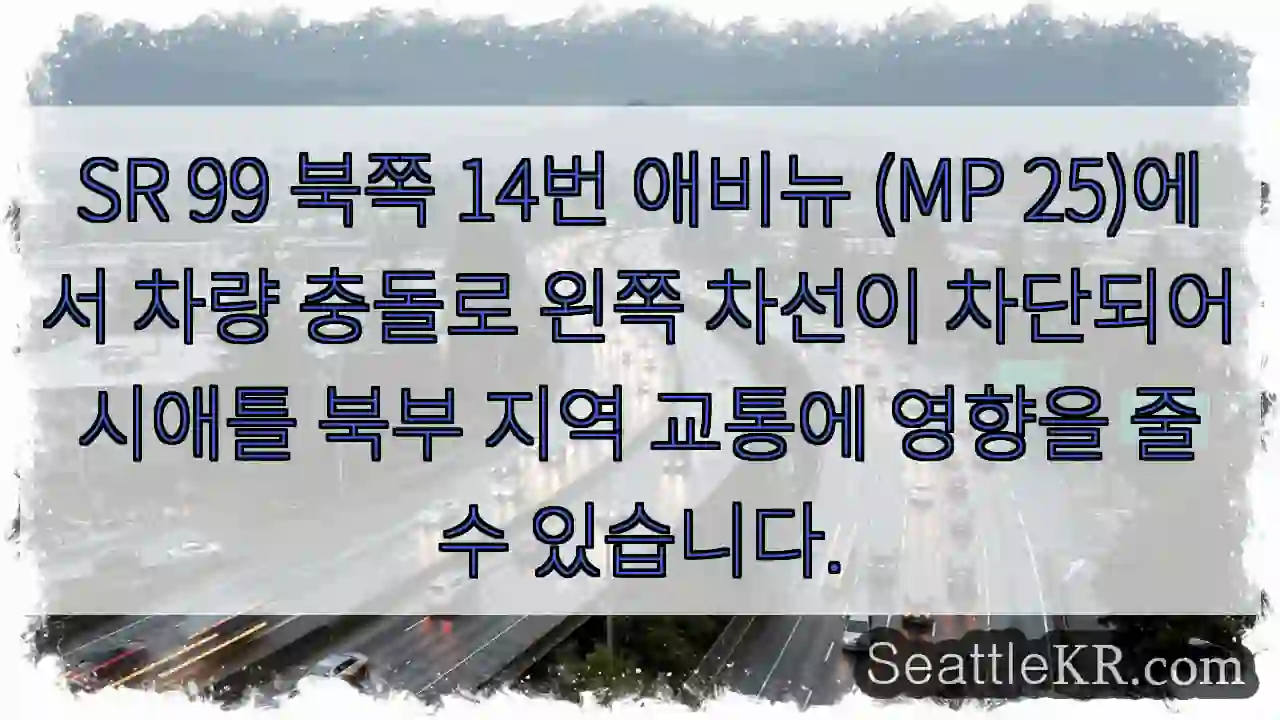 사고! 14번 애비뉴 왼쪽 차선 막힘