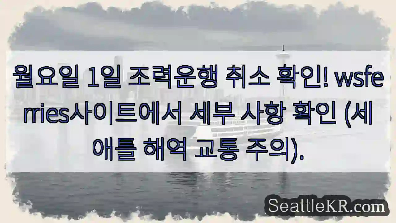 운항 취소! wsferries 확인