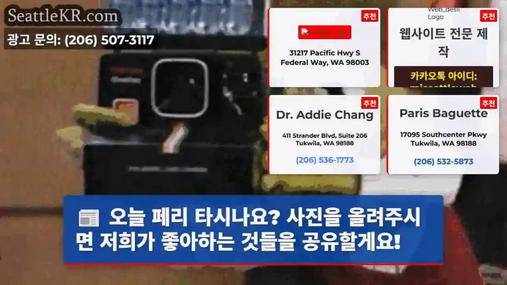 오늘 페리 타시나요? 사진을 올려주시면 저희가 좋아하는 것들을 공유할게요!