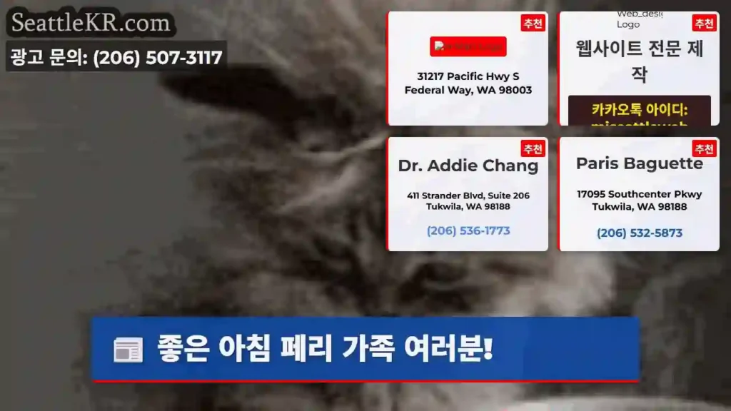 좋은 아침 페리 가족 여러분!