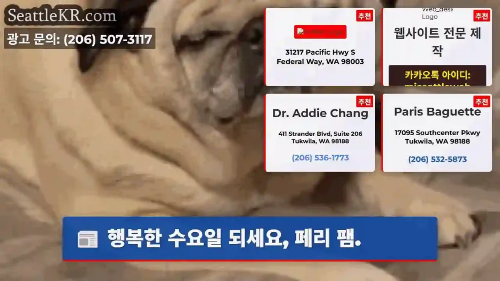 행복한 수요일 되세요, 페리 팸.