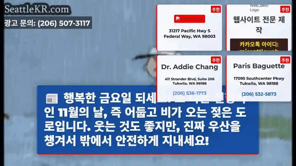 행복한 금요일 되세요! 또 다른 전형적인 11월의 날, 즉 어둡고 비가 오는 젖은