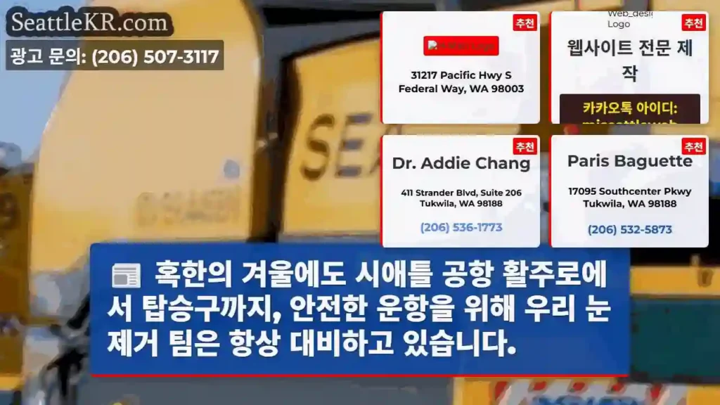 안전 눈 제거, 안전 비행!