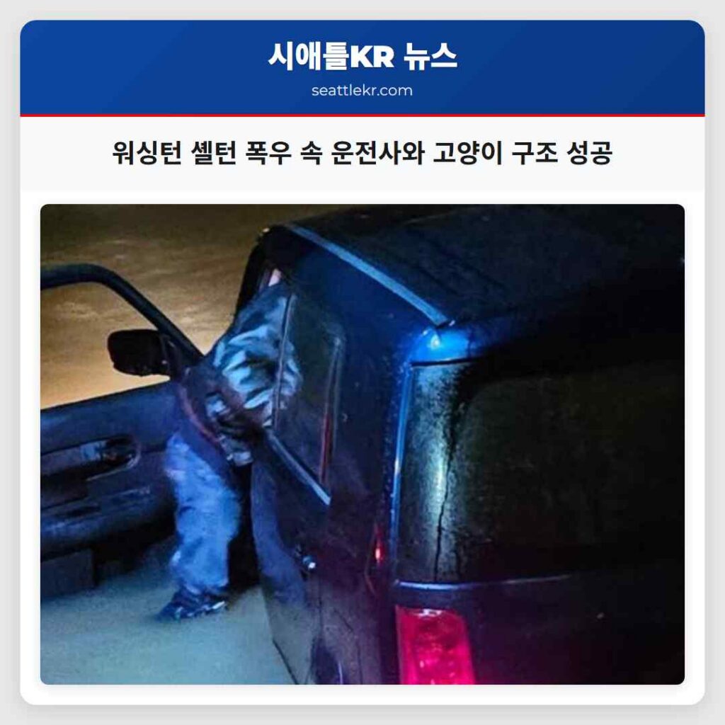 워싱턴 셸턴 폭우 속 운전사와 고양이 구조 성공