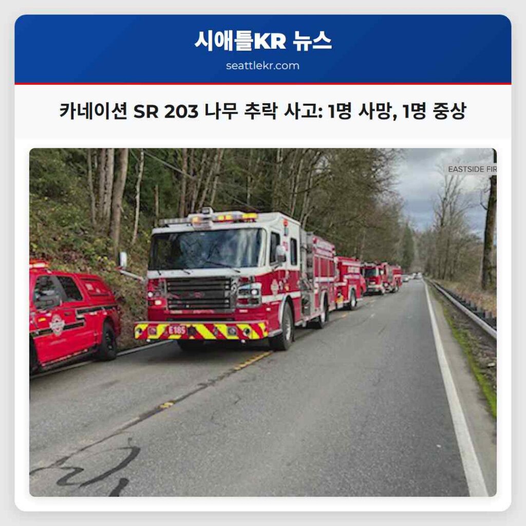 카네이션 SR 203 나무 추락 사고: 1명 사망, 1명 중상