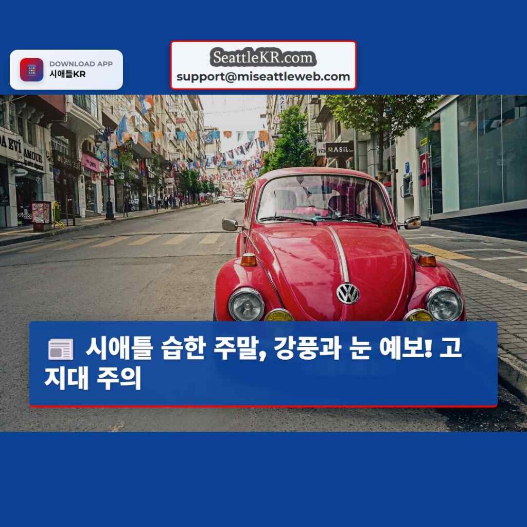 시애틀 날씨뉴스 1 시애틀 습한 주말, 강풍과 눈 예보! 고지대 주의