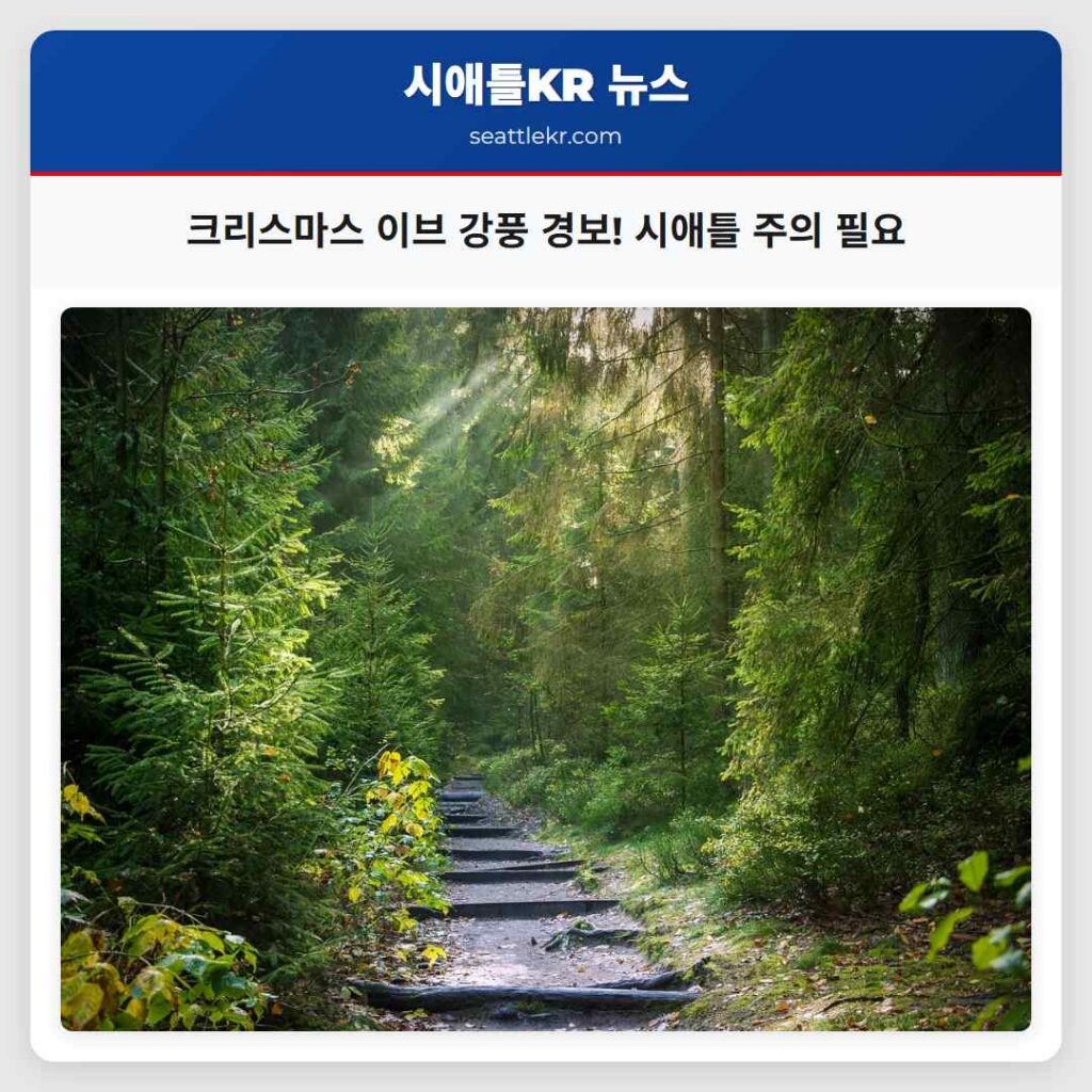 시애틀 날씨뉴스 1 크리스마스 이브 강풍 경보! 시애틀 주의 필요