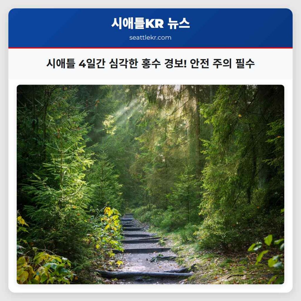 시애틀 4일간 심각한 홍수 경보! 안전 주의 필수