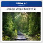 시애틀 폭우 경보 발령 4일간 심각한 홍수 위험 경고