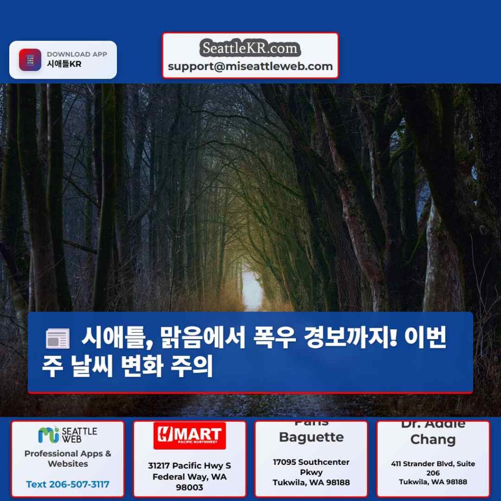 시애틀, 맑음에서 폭우 경보까지! 이번 주 날씨 변화 주의