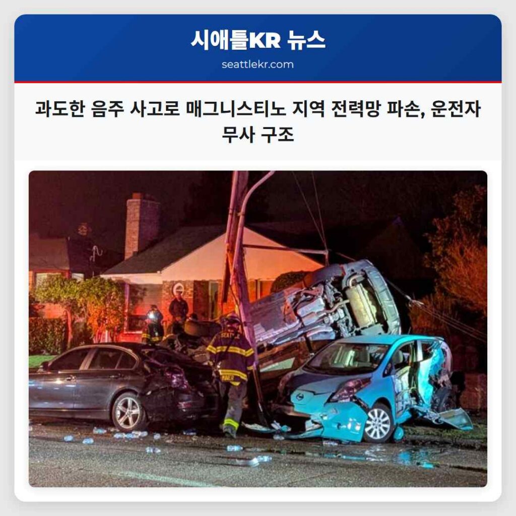 과도한 음주 사고로 매그니스티노 지역 전력망 파손, 운전자 무사 구조