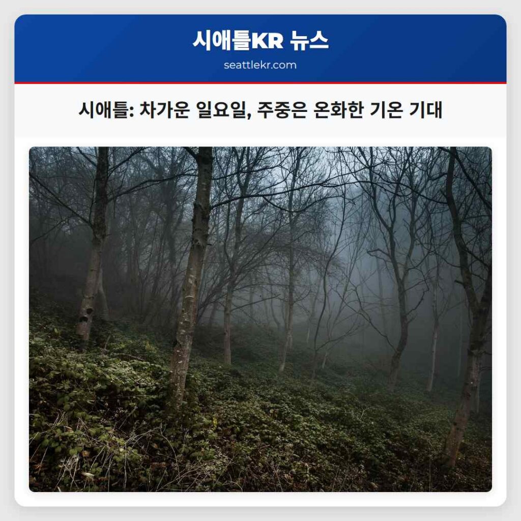 시애틀: 차가운 일요일, 주중은 온화한 기온 기대