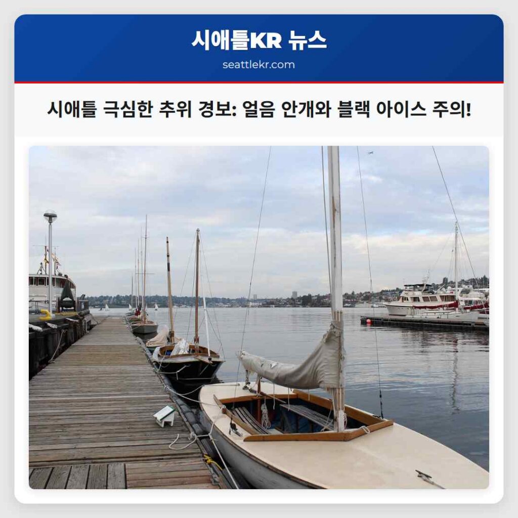 시애틀 극심한 추위 경보: 얼음 안개와 블랙 아이스 주의!