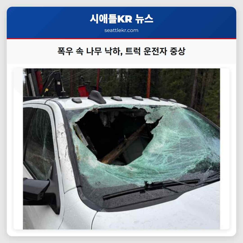 폭우 속 나무 낙하, 트럭 운전자 중상