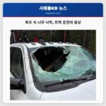 워싱턴 레븐워스 폭우 속 나무 낙하 사고 트럭 운전자 부상