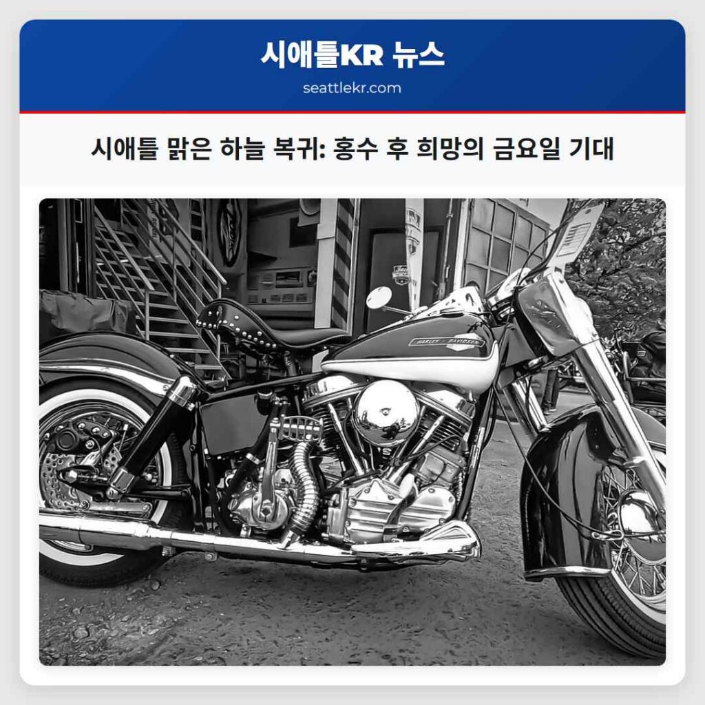 시애틀 맑은 하늘 복귀: 홍수 후 희망의 금요일 기대