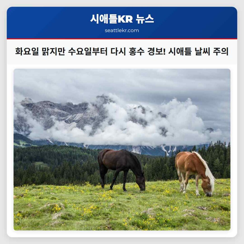 시애틀 날씨뉴스 6 화요일 맑지만 수요일부터 다시 홍수 경보! 시애틀 날씨 주의