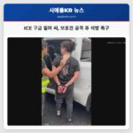 워싱턴 주 상원의원 ICE 보호견 공격으로 구금된 윌머 씨 석방 촉구