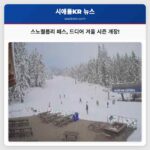 스노퀄름리 패스 스키 리조트 겨울 시즌 드디어 개장