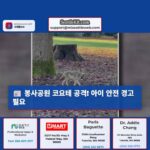 시애틀 주민 봉사공원 산책 중 코요테 공격 사건 발생… 야생동물 관리 시급