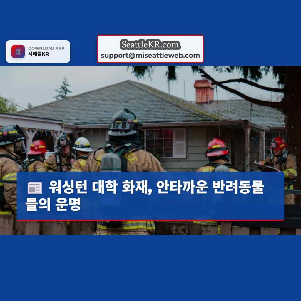 워싱턴 대학 화재, 안타까운 반려동물들의 운명