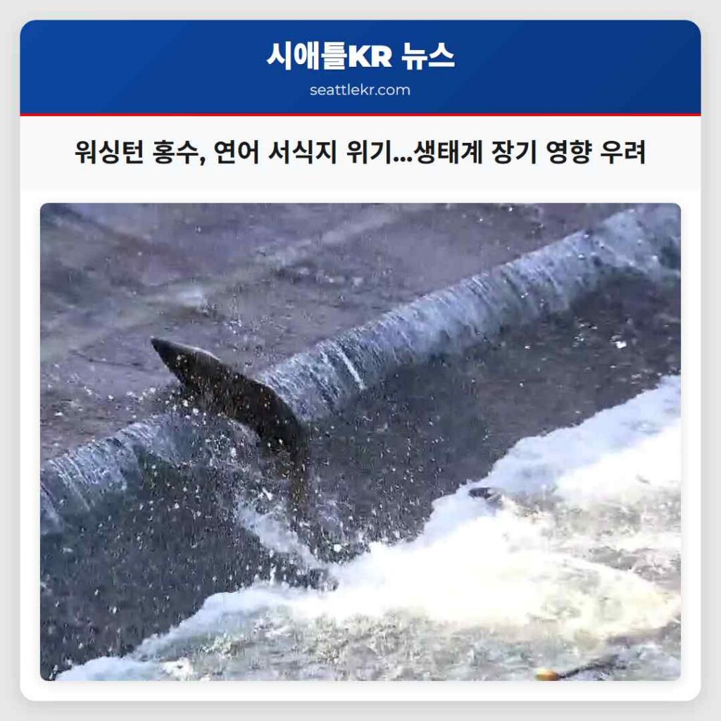 워싱턴 홍수, 연어 서식지 위기...생태계 장기 영향 우려