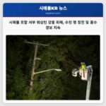 서해안 강풍으로 시애틀 포함 서부 워싱턴 지역 수천 명 전력 공급 중단