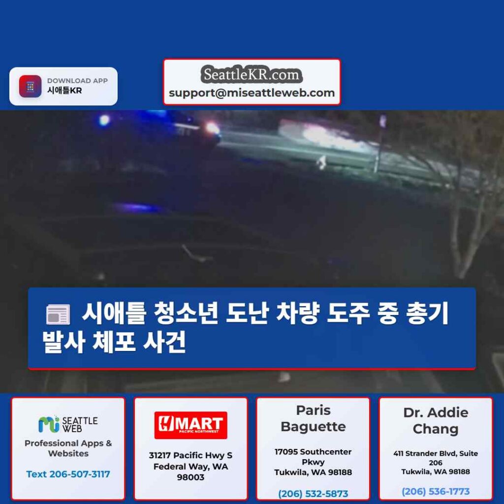 시애틀 청소년 도난 차량 도주 중 총기 발사 체포 사건