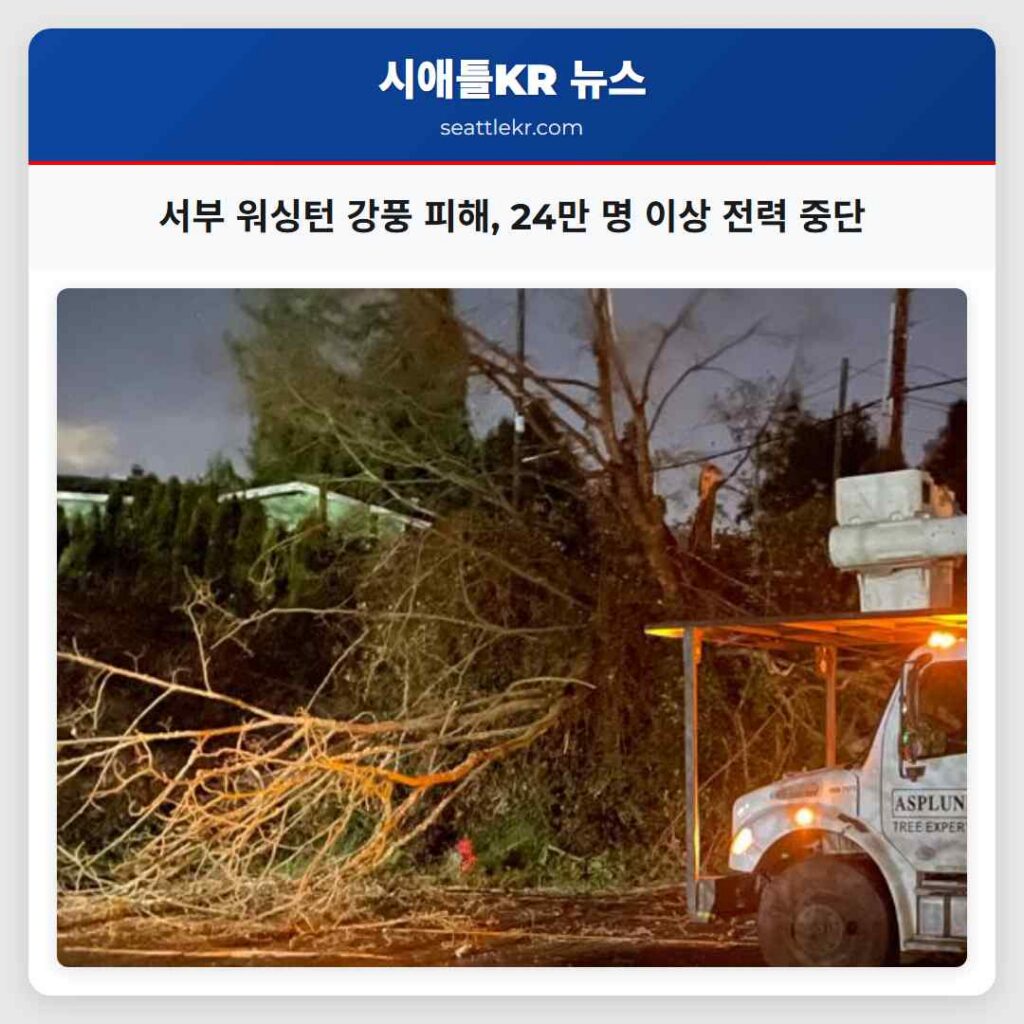 서부 워싱턴 강풍 피해, 24만 명 이상 전력 중단