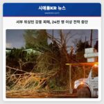 서부 워싱턴 강풍 피해 24만 명 이상 전력 공급 중단