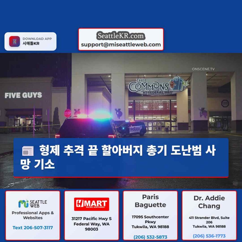 형제 추격 끝 할아버지 총기 도난범 사망 기소