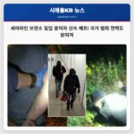 셰어라인 보관 시설 침입 시도 용의자 체포 전문적인 수사로 신속 해결