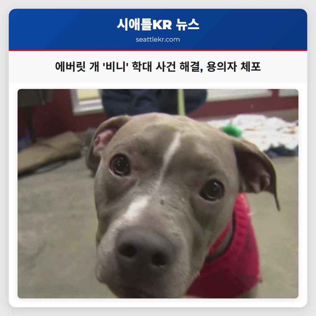 에버릿 개 '비니' 학대 사건 해결, 용의자 체포