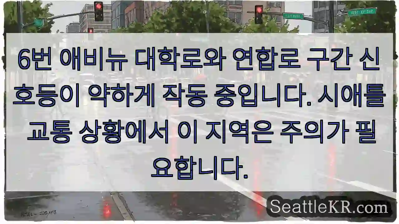 주의: 애비뉴 신호등 약 작동
