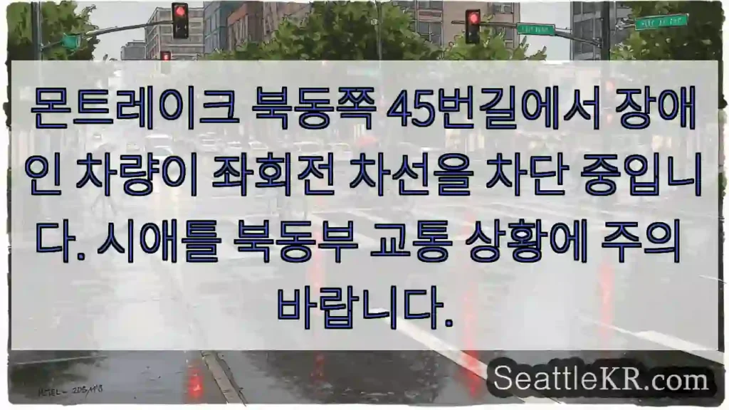 주의: 장애인 차량, 좌회전 차선 막힘