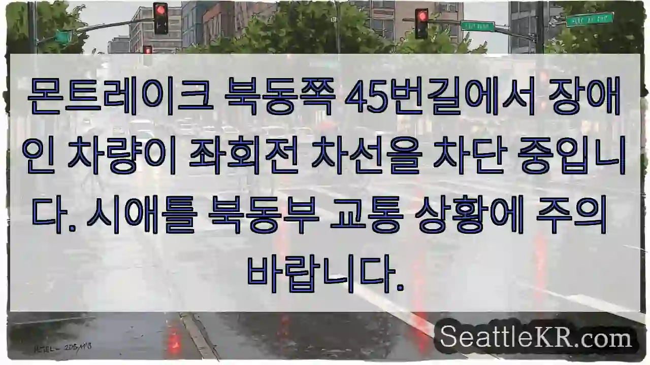 주의: 장애인 차량, 좌회전 차선 막힘