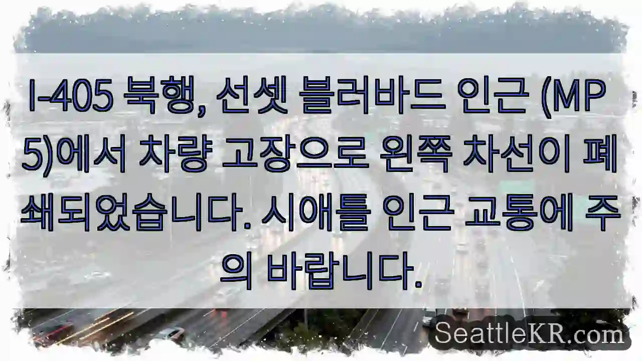 고장 차량! 왼쪽 차선 주의!