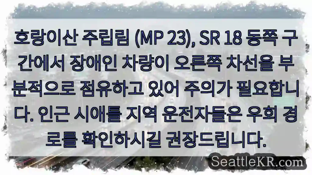 주의: 장애인 차량, 차선 침범!