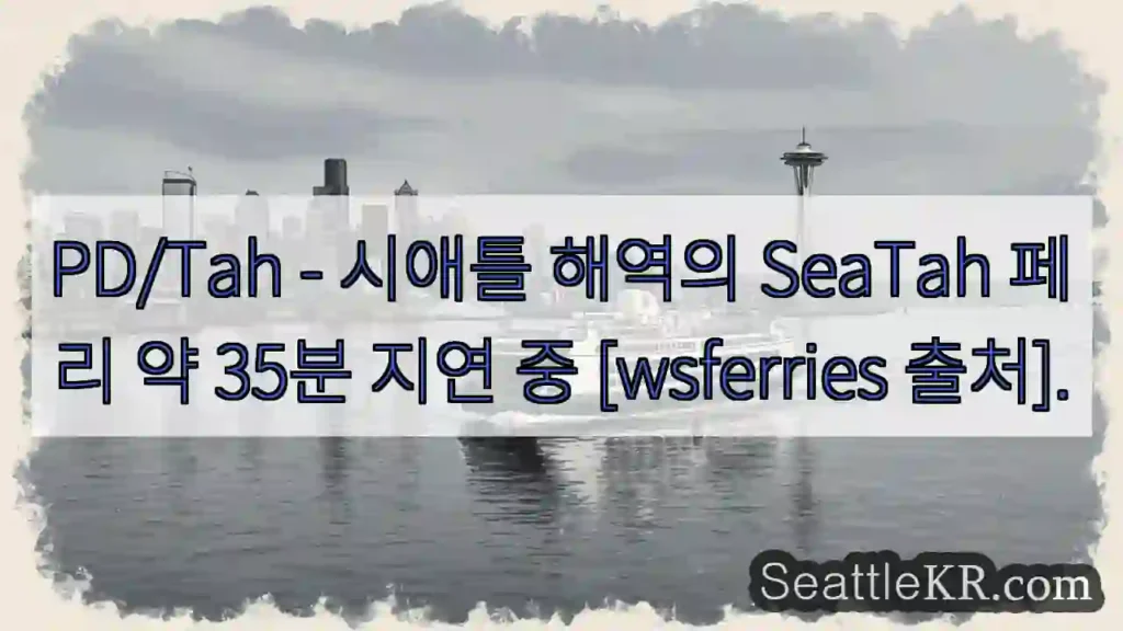 페리 지연 35분!