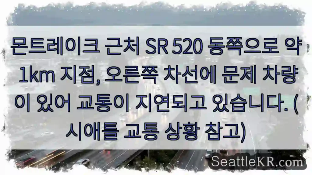 몬트레이크 근처 차량 문제!