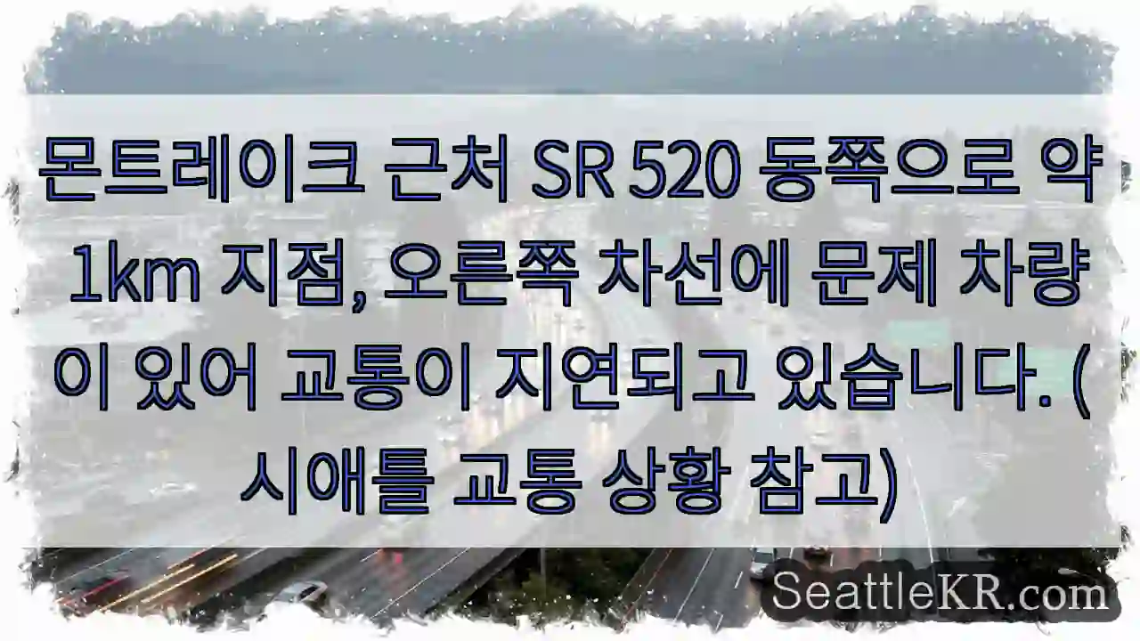 몬트레이크 근처 차량 문제!